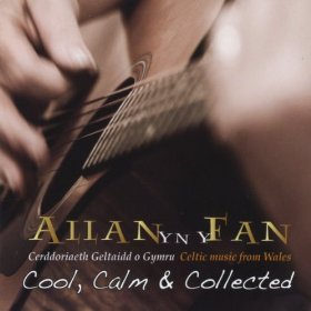 Allan Yn Y Fan
